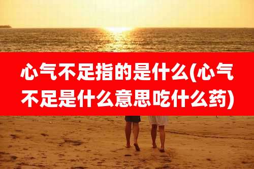 心气不足指的是什么(心气不足是什么意思吃什么药)