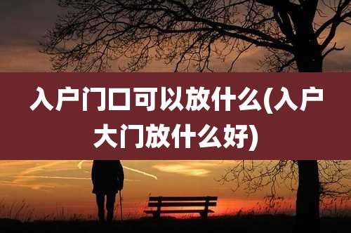 入户门口可以放什么(入户大门放什么好)