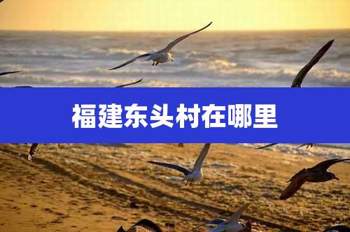 福建东头村在哪里