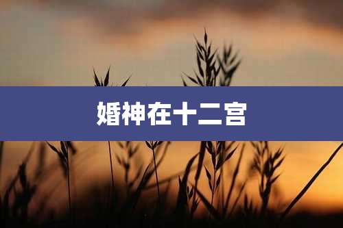 婚神在十二宫