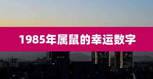 1985年属鼠的幸运数字