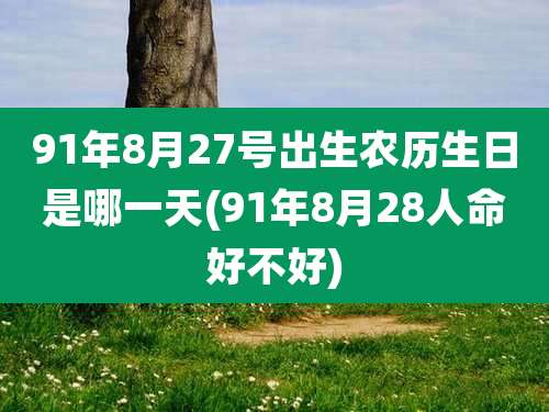 91年8月27号出生农历生日是哪一天(91年8月28人命好不好)