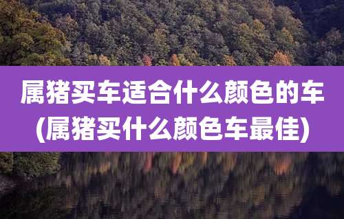 属猪买车适合什么颜色的车(属猪买什么颜色车最佳)