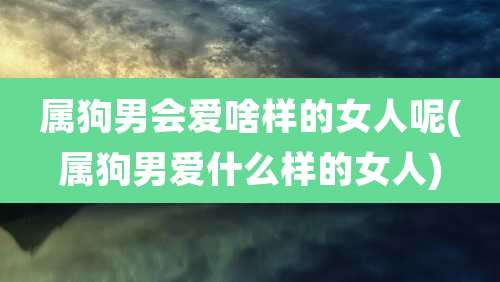 属狗男会爱啥样的女人呢(属狗男爱什么样的女人)