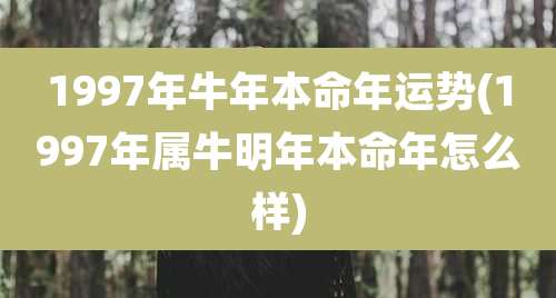1997年牛年本命年运势(1997年属牛明年本命年怎么样)