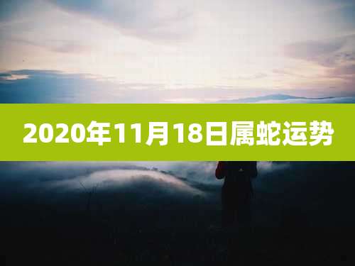 2020年11月18日属蛇运势