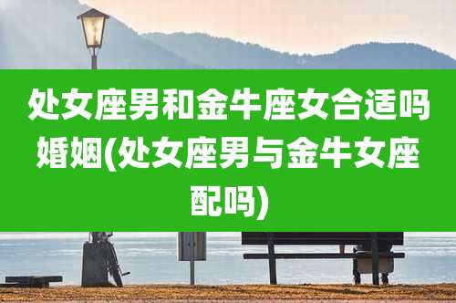 处女座男和金牛座女合适吗婚姻(处女座男与金牛女座配吗)