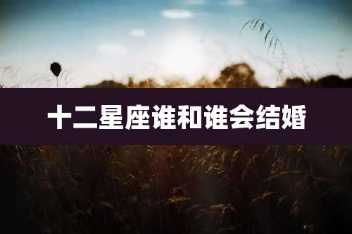 十二星座谁和谁会结婚