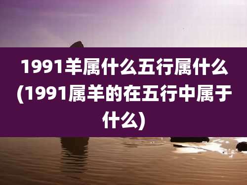 1991羊属什么五行属什么(1991属羊的在五行中属于什么)