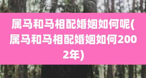 属马和马相配婚姻如何呢(属马和马相配婚姻如何2002年)