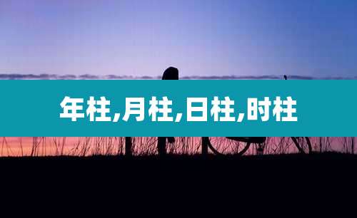 年柱,月柱,日柱,时柱