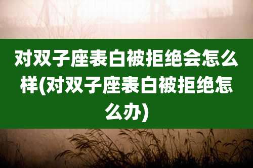 对双子座表白被拒绝会怎么样(对双子座表白被拒绝怎么办)