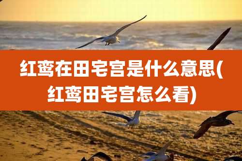 红鸾在田宅宫是什么意思(红鸾田宅宫怎么看)