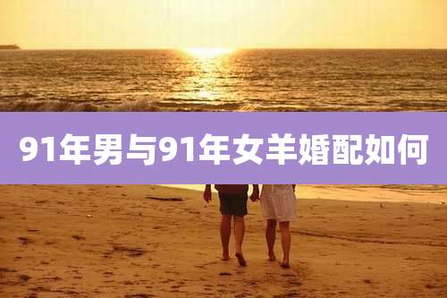 91年男与91年女羊婚配如何