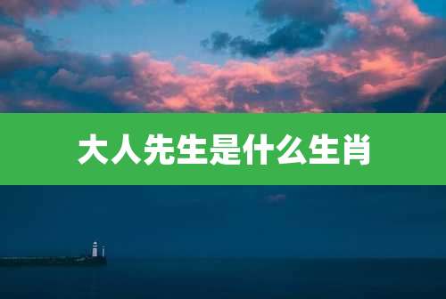 大人先生是什么生肖