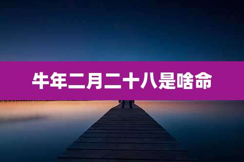 牛年二月二十八是啥命