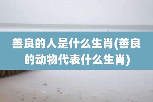 善良的人是什么生肖(善良的动物代表什么生肖)