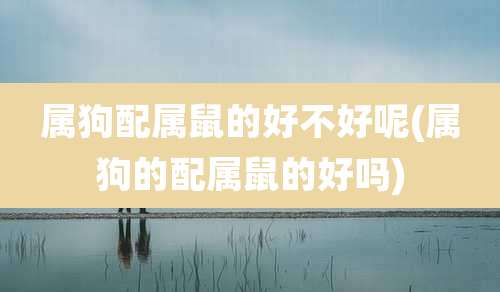 属狗配属鼠的好不好呢(属狗的配属鼠的好吗)