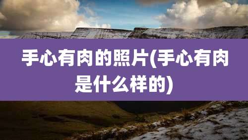 手心有肉的照片(手心有肉是什么样的)
