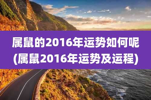 属鼠的2016年运势如何呢(属鼠2016年运势及运程)