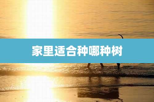 家里适合种哪种树