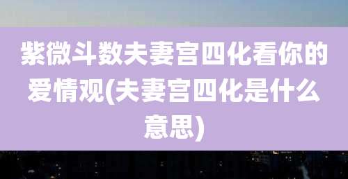 紫微斗数夫妻宫四化看你的爱情观(夫妻宫四化是什么意思)