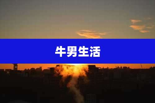 牛男生活