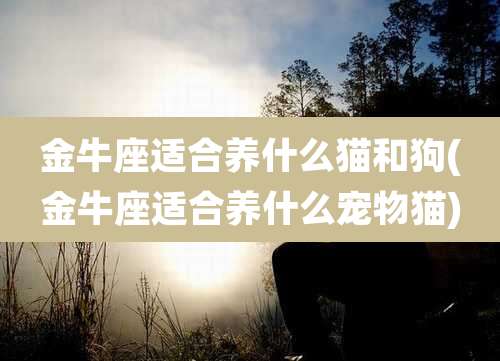 金牛座适合养什么猫和狗(金牛座适合养什么宠物猫)