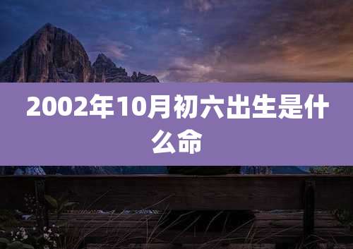 2002年10月初六出生是什么命