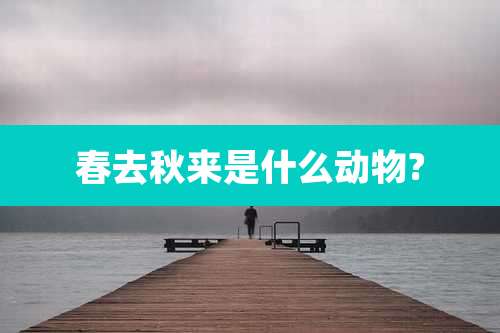 春去秋来是什么动物?