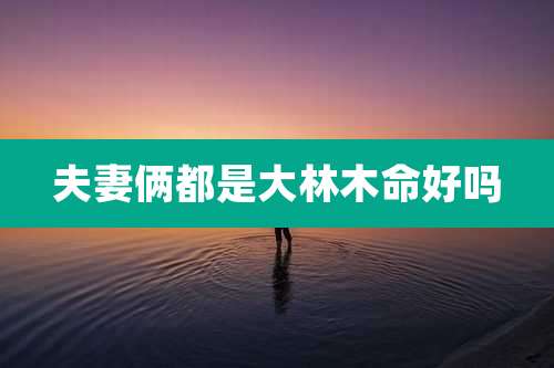 夫妻俩都是大林木命好吗