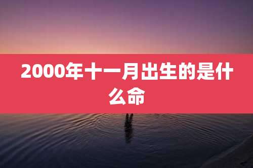 2000年十一月出生的是什么命