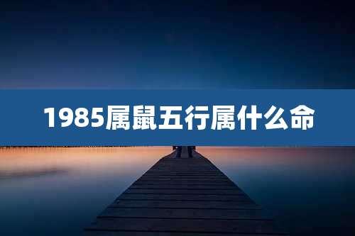 1985属鼠五行属什么命