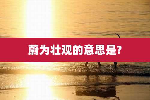 蔚为壮观的意思是?