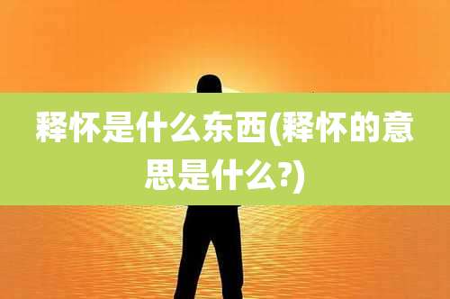 释怀是什么东西(释怀的意思是什么?)