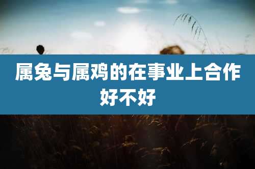 属兔与属鸡的在事业上合作好不好