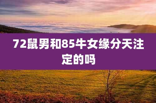 72鼠男和85牛女缘分天注定的吗