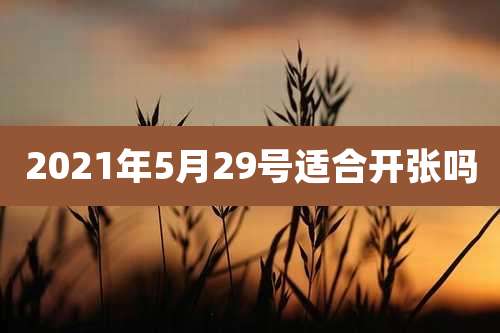 2021年5月29号适合开张吗