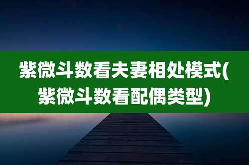 紫微斗数看夫妻相处模式(紫微斗数看配偶类型)