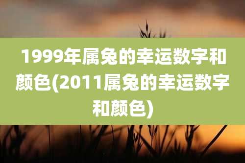 1999年属兔的幸运数字和颜色(2011属兔的幸运数字和颜色)
