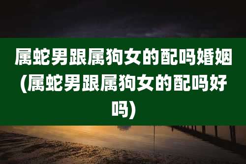 属蛇男跟属狗女的配吗婚姻(属蛇男跟属狗女的配吗好吗)