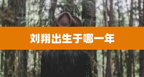 刘翔出生于哪一年