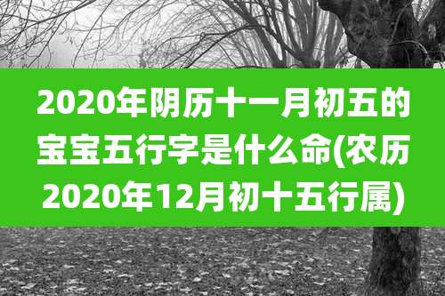 2020年阴历十一月初五的宝宝五行字是什么命(农历2020年12月初十五行属)