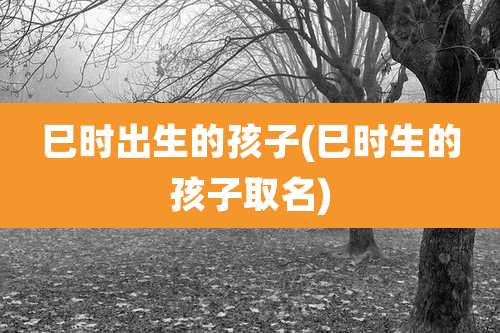 巳时出生的孩子(巳时生的孩子取名)