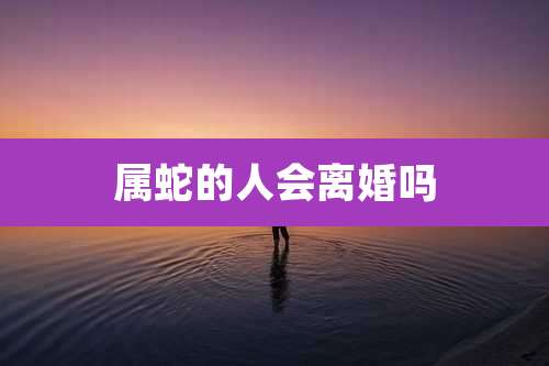 属蛇的人会离婚吗