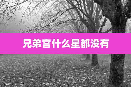 兄弟宫什么星都没有