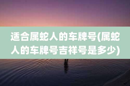适合属蛇人的车牌号(属蛇人的车牌号吉祥号是多少)