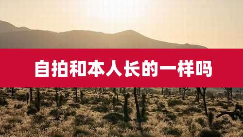 自拍和本人长的一样吗