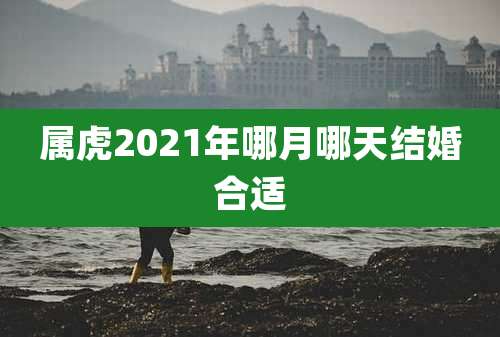 属虎2021年哪月哪天结婚合适