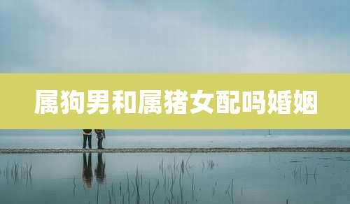 属狗男和属猪女配吗婚姻